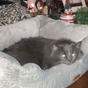 Meet your Posher, Laurie